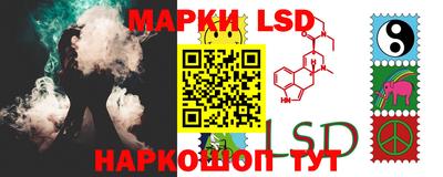 прущие грибы Славгород